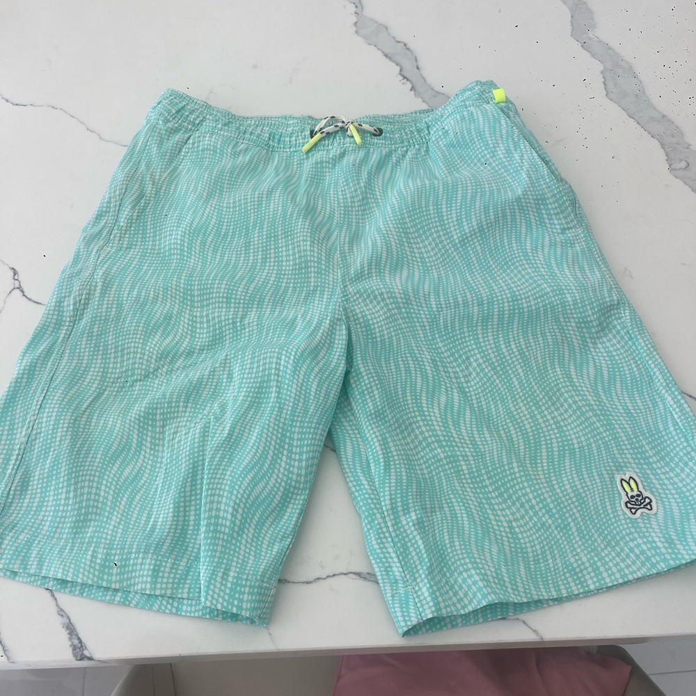 Shorts Psycho Bunny men’s teens  swim shorts in mint green.
Size 14/16.